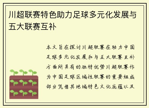 川超联赛特色助力足球多元化发展与五大联赛互补